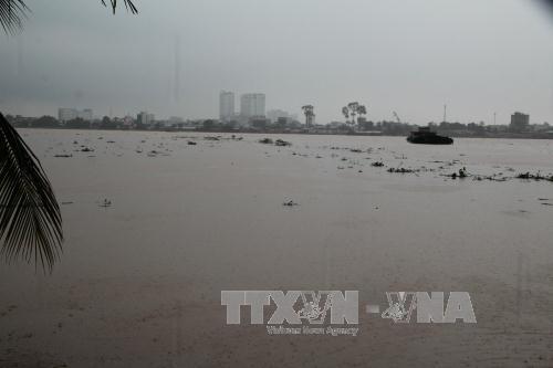 Nước sông Đồng Nai lên mức báo động III do thủy điện xả lũ và triều cường ảnh 1